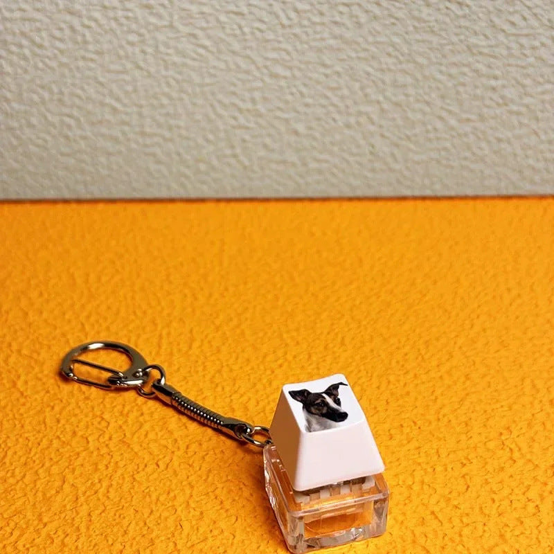 Pressable Mechanical Keycap — Tactile Click | Stress Relief Desk Toy | NovaTech