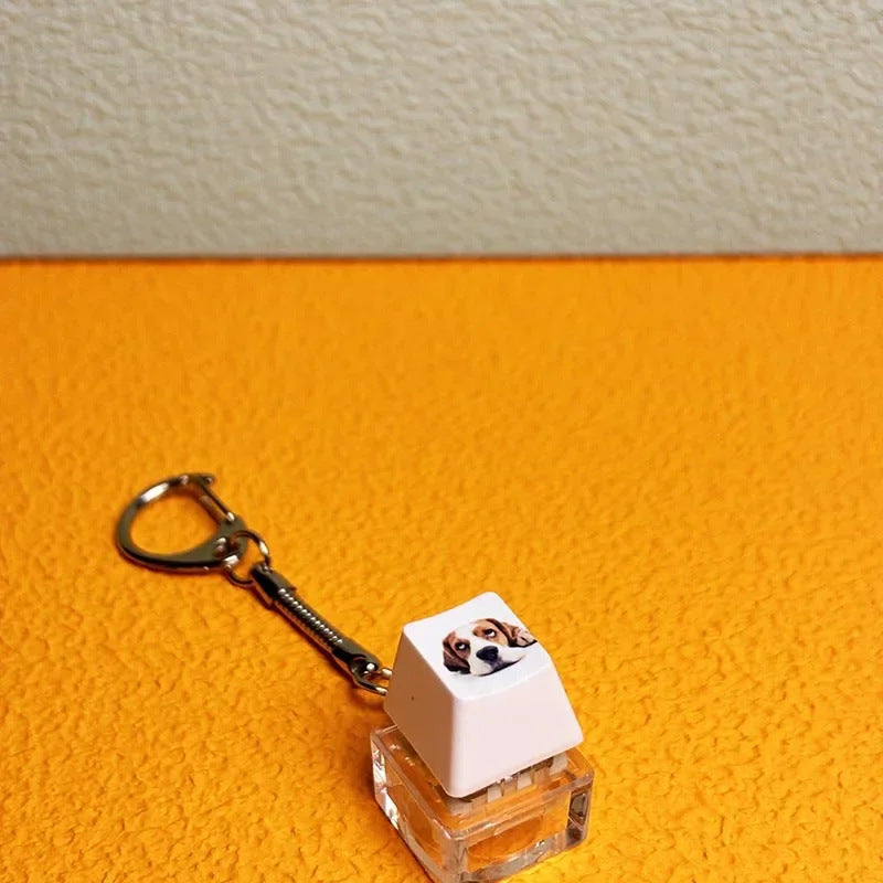 Pressable Mechanical Keycap — Tactile Click | Stress Relief Desk Toy | NovaTech
